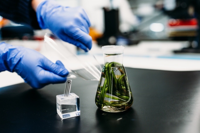 Head of Research Unit - Photonic Systems  (all genders), 1. image